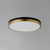 Dapper LED Flush Mount (59704WTBKAB)