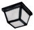Maxim - 6204FTBK - Two Light Outdoor Ceiling Mount - Outdoor Essentials - 620x - Black