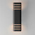 Lightray LED LED Outdoor Wall Lantern (86174ABZ)