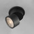 Swinger LED Flush Mount (86242BK)