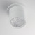 Swinger LED Flush Mount (86242WT)