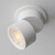 Swinger LED Flush Mount (86242WT)