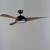 Cupola 52" Ceiling Fan (88801OI)