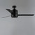 Tanker 52" Outdoor Ceiling Fan (88805BK)