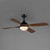 Bola 52" Ceiling Fan (88811WNBK)