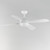 Bola 52" Ceiling Fan (88811WT)