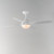Bola 52" Ceiling Fan (88811WT)