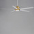 Daisy 60" Ceiling Fan (88826WTNAB)