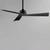 Vortex 52" Ceiling Fan (88846BK)
