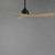Vortex 52" Ceiling Fan (88846CHL)