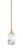 Toltec Lighting - 23-NAB-3009 - One Light Mini Pendant - Stem - New Age Brass