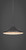 Toltec Lighting - 281-DG-422 - One Light Mini Pendant - Vintage - Dark Granite