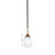 Paramount One Light Mini Pendant (3401-MBBR-460)