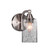 Toltec Lighting - 3421-BN-3002 - One Light Wall Sconce - Paramount - Brushed Nickel