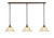 Toltec Lighting - 36-BRZ-730 - Three Light Linear Pendalier - Any - Bronze