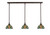 Toltec Lighting - 36-DG-9905 - Three Light Linear Pendalier - Any - Dark Granite