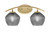 Toltec Lighting - 3722-NAB-4622 - Two Light Bath Bar - Kurve - New Age Brass