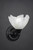 Toltec Lighting - 40-MB-755 - One Light Wall Sconce - Any - Matte Black