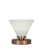 Toltec Lighting - 51-NAB-4051 - One Light Table Lamp - Luna - New Age Brass