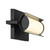 Trizay LED Wall Mount (P1551-66A-L)