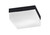 Toltec Lighting - 840-MB-1 - Two Light Flush Mount - Flush Mounts - Matte Black