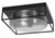 Toltec Lighting - 856-MB-2 - Three Light Flush Mount - Flush Mounts - Matte Black