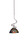 Toltec Lighting - 901-BN-9955 - One Light Mini Pendant - Capri - Brushed Nickel