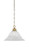 Toltec Lighting - 92-NAB-5731 - One Light Pendant - Chain - New Age Brass