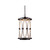 Kalco - 404450FG - LED Hanging Lantern - Belmont Outdoor - Florence Gold