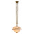 Kalco - 519455WB - LED Pendant - Volterra - Winter Brass