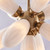 Crest Two Light Pendant (520656WB)