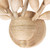 Branche Four Light Wall Sconce (527021WIV)