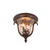 manufacturer_finish:Burnished Bronze