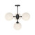manufacturer_finish:Matte Black/Opal Matte Glass