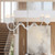 manufacturer_finish:Antique White/Opal Glass