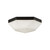 manufacturer_finish:Matte Black/Opal Glass