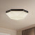manufacturer_finish:Matte Black/Opal Glass