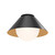 manufacturer_finish:Matte Black/Opal Glass