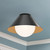 manufacturer_finish:Matte Black/Opal Glass