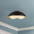 manufacturer_finish:Matte Black/Opal Glass