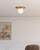manufacturer_finish:Brushed Gold/Opal Matte Glass