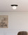 manufacturer_finish:Matte Black/Opal Matte Glass