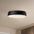 manufacturer_finish:Matte Black