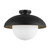 manufacturer_finish:Matte Black/Opal Matte Glass