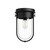 manufacturer_finish:Clear Glass/Matte Black