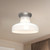 manufacturer_finish:Brushed Nickel/Glossy Opal Glass