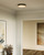 manufacturer_finish:Aged Gold/Matte Black|color_temperature:2700K