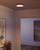 manufacturer_finish:Aged Gold/Matte Black|color_temperature:2700K