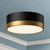 manufacturer_finish:Aged Gold/Matte Black