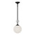 manufacturer_finish:Matte Black/Opal Glass
